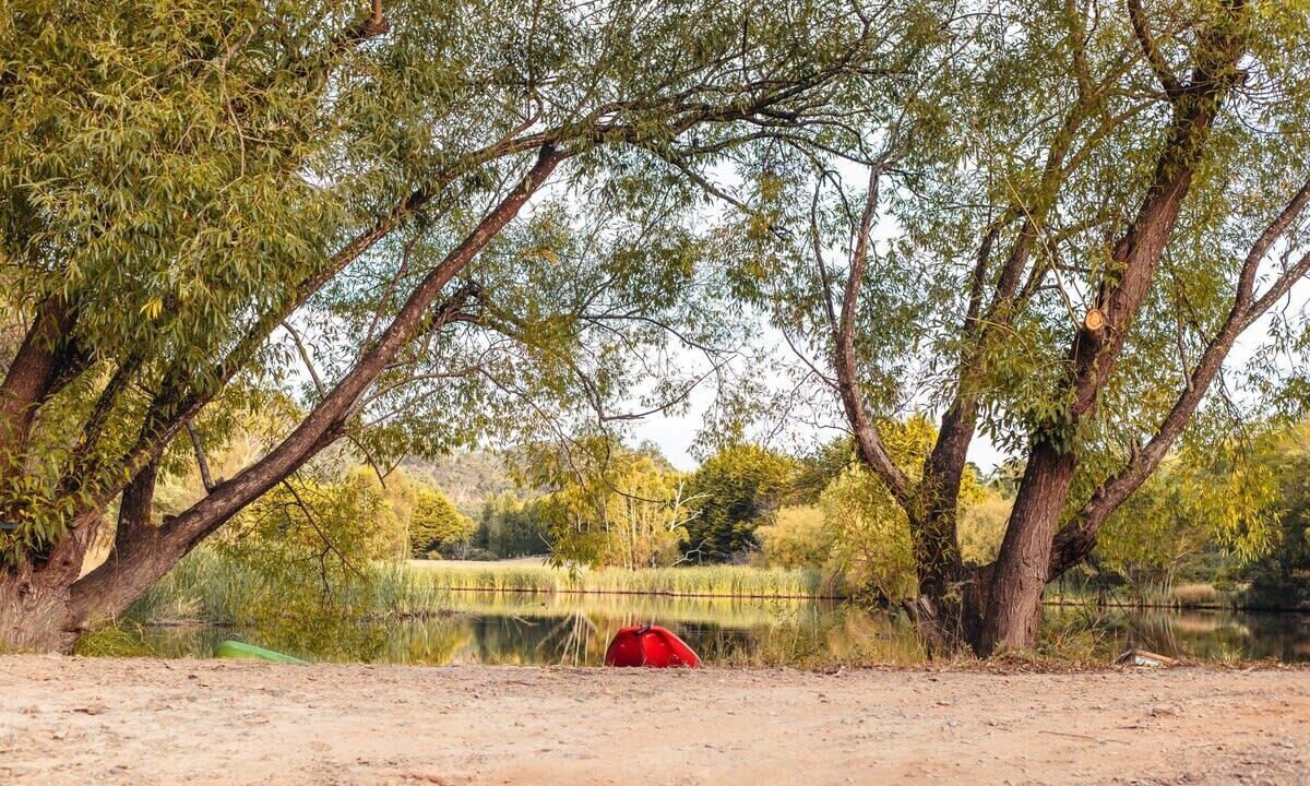 Photo of Outdoor in Flowerdale