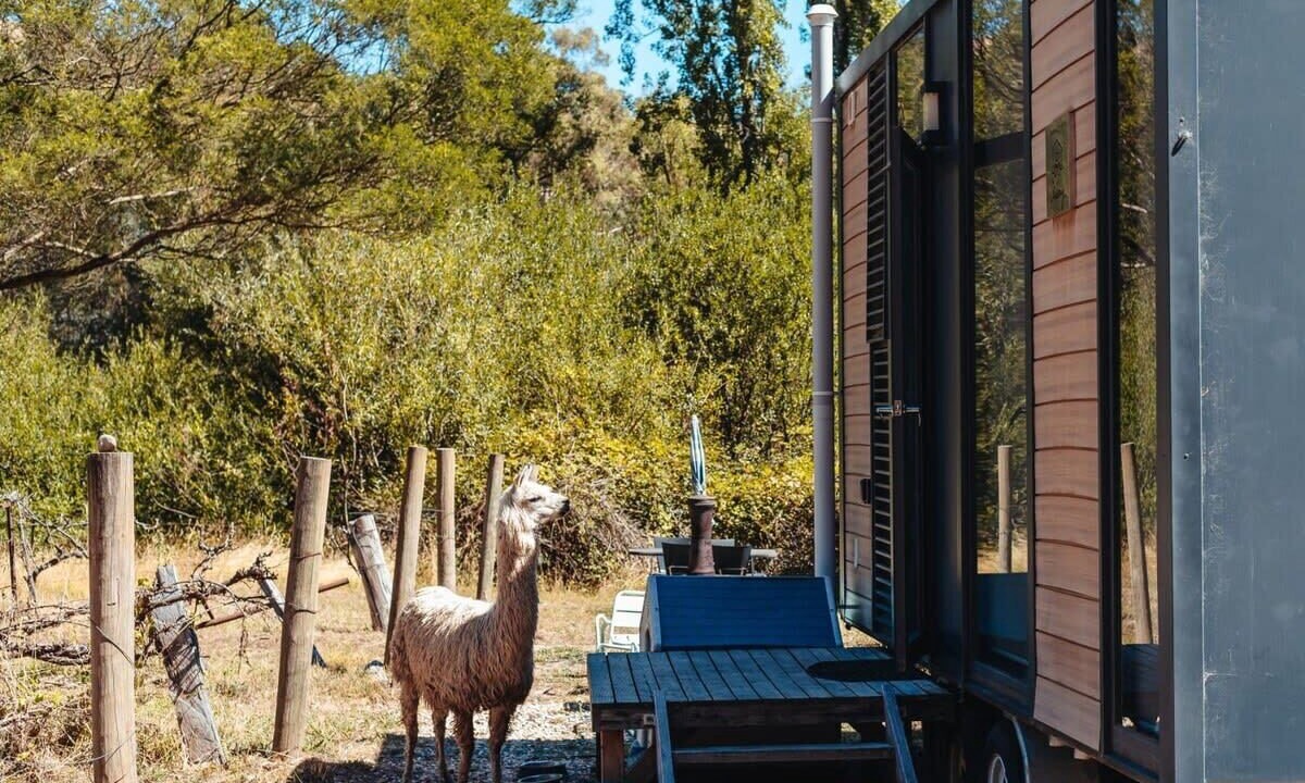 Photo of Outdoor in Flowerdale