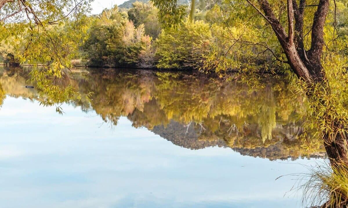 Photo of Others in Flowerdale