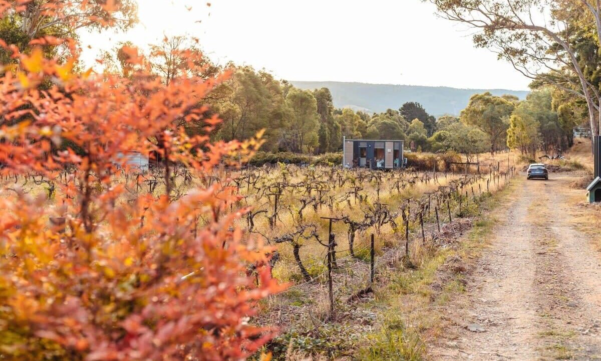 Photo of Outdoor in Flowerdale