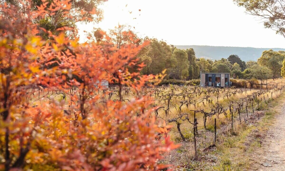 Photo of Bathroom in Flowerdale