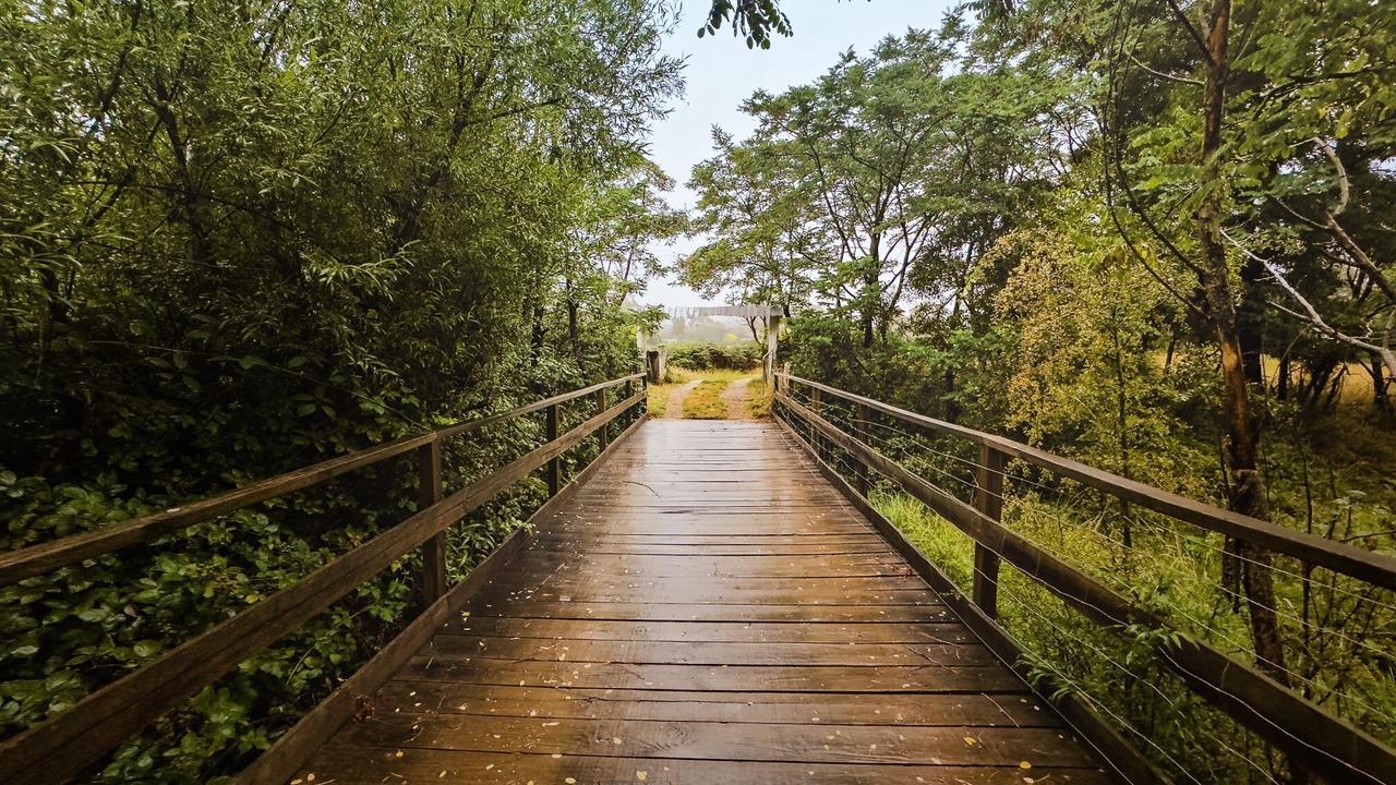 Photo of Outdoor in Flowerdale