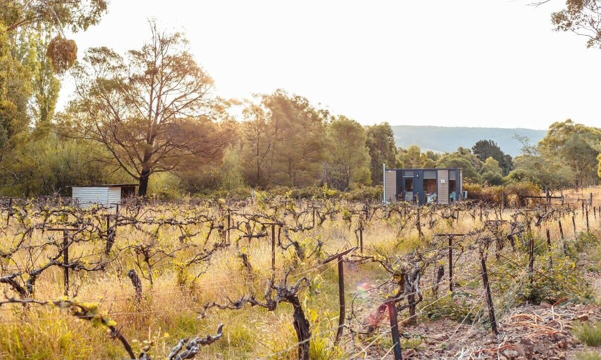 Photo of Outdoor in Flowerdale