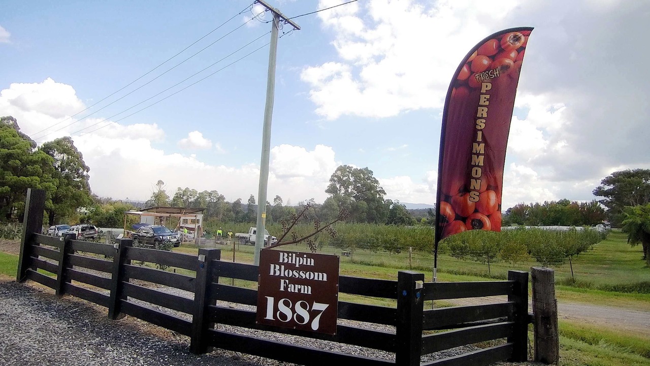 Photo of Others in East Kurrajong