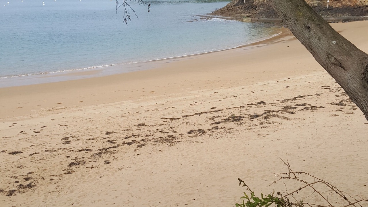 Photo of Others in Saint-Lunaire