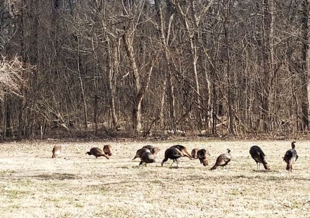 Photo of Others in Newburgh