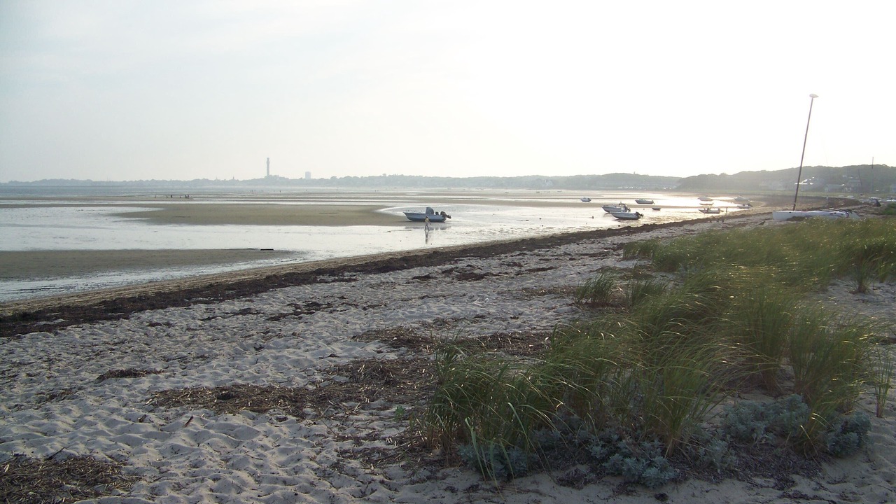 Photo of Others in Provincetown