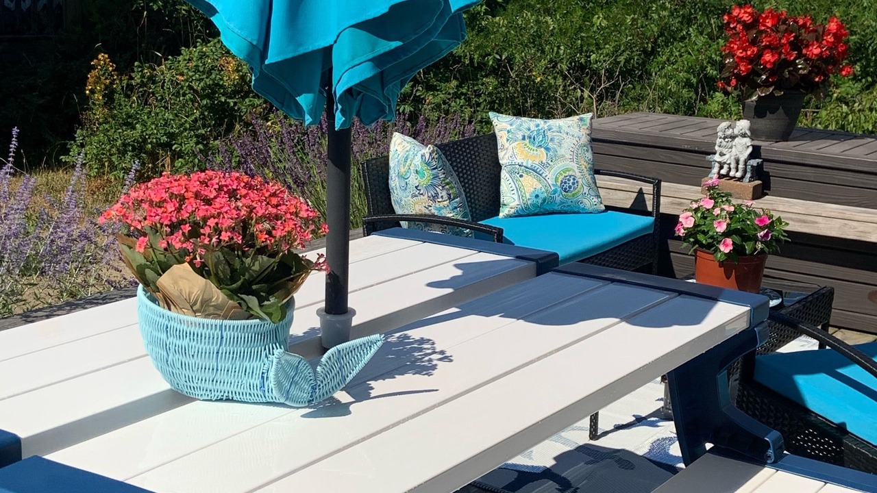 Photo of Others in Provincetown