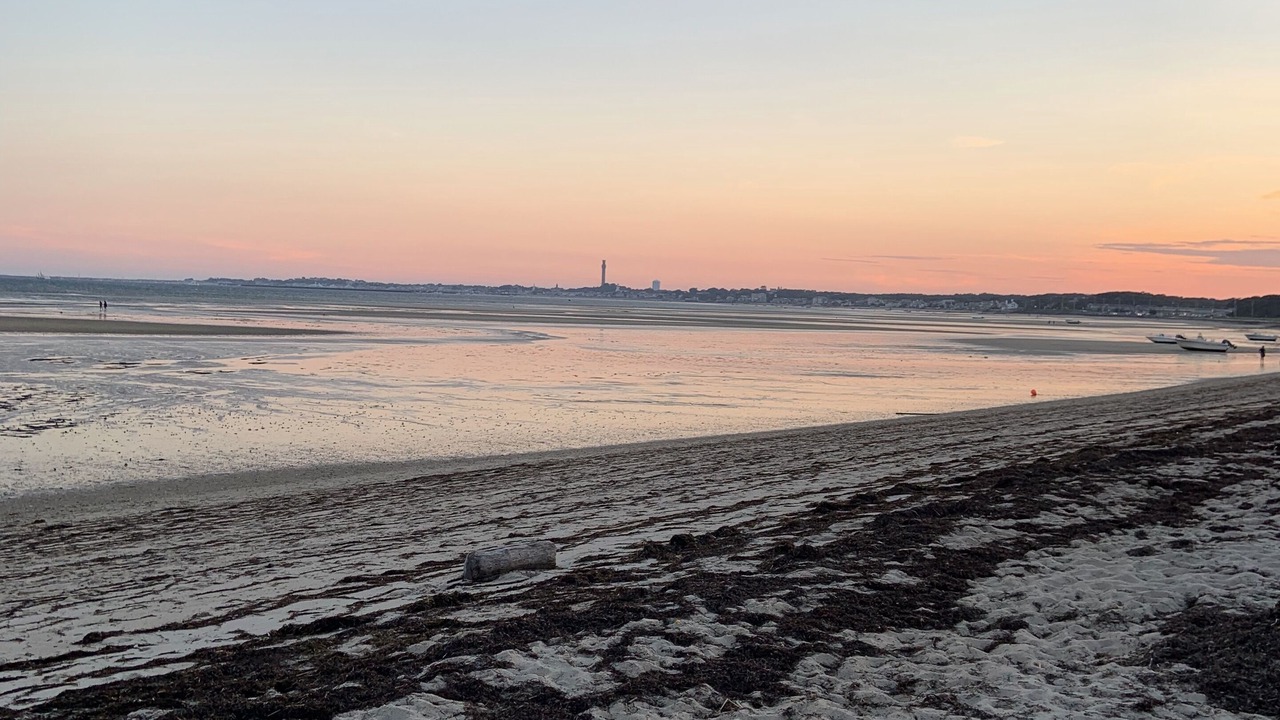 Photo of Others in Provincetown