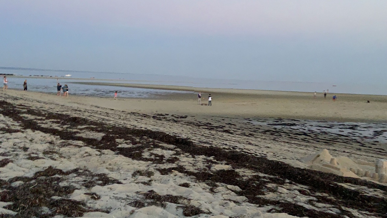 Photo of Others in Provincetown