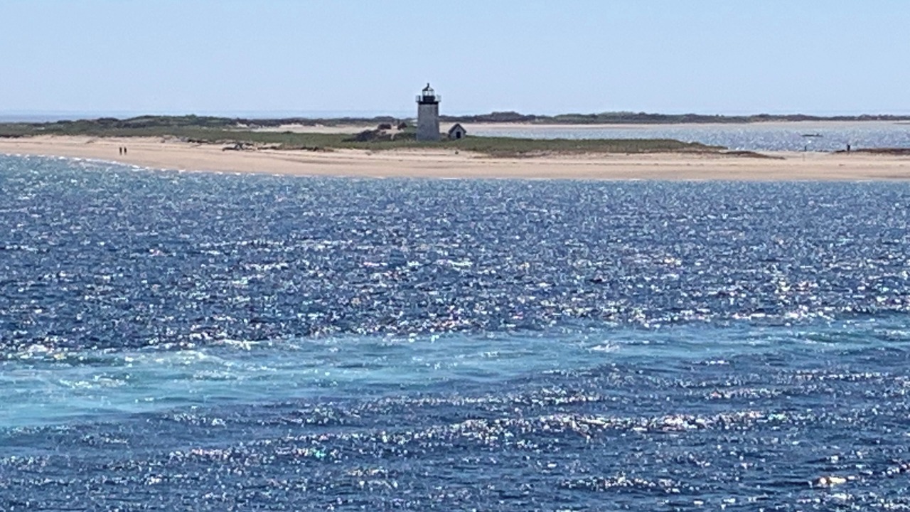 Photo of Others in Provincetown