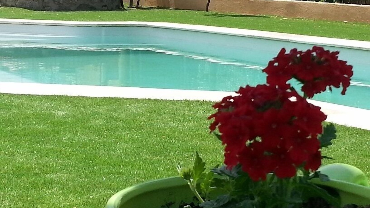 Photo of Outdoor in Gonfaron