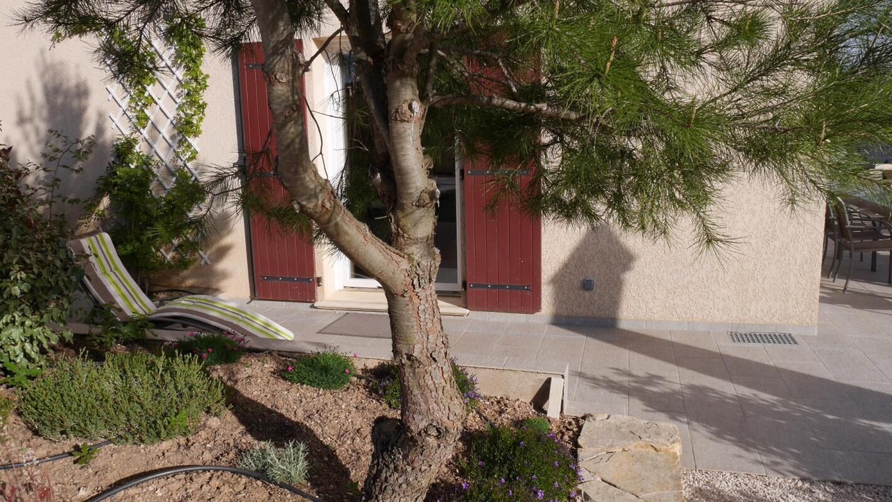 Photo of Outdoor in Brue-Auriac