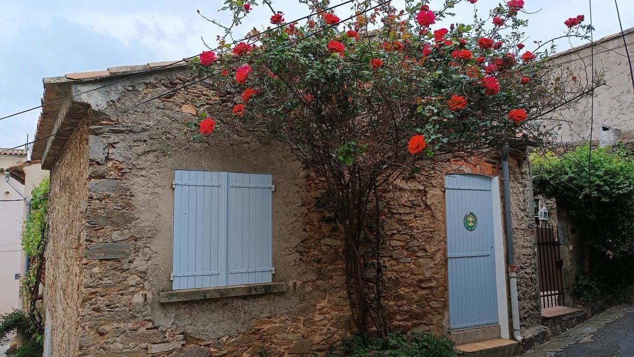 Photo of Outdoor in La Garde-Freinet