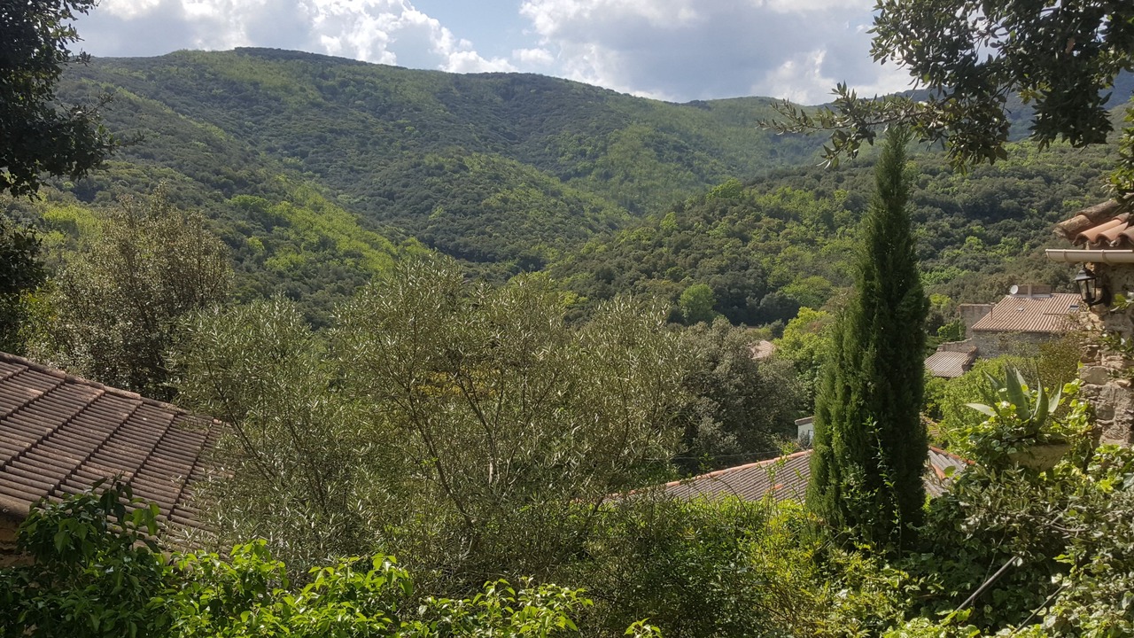 Photo of Outdoor in Cabrerolles