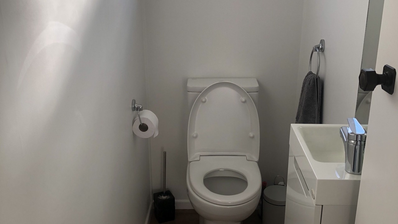 Photo of Others in Waipu