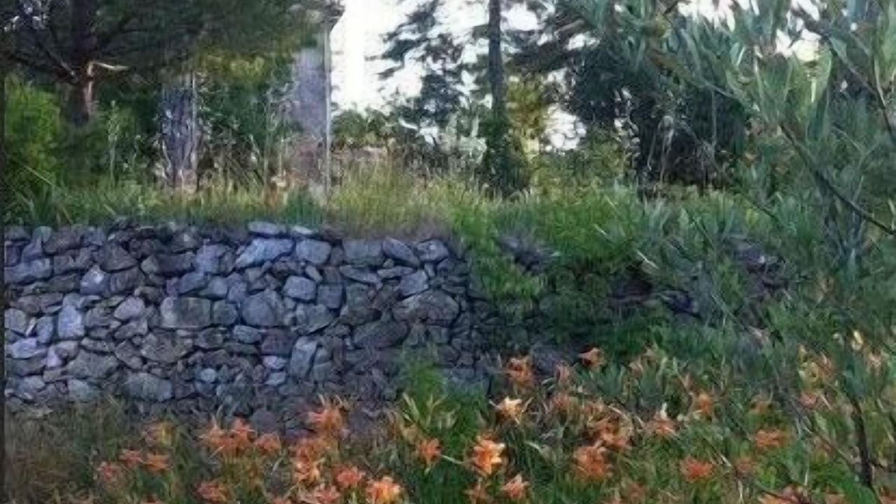 Photo of Outdoor in Saint-Laurent-le-Minier