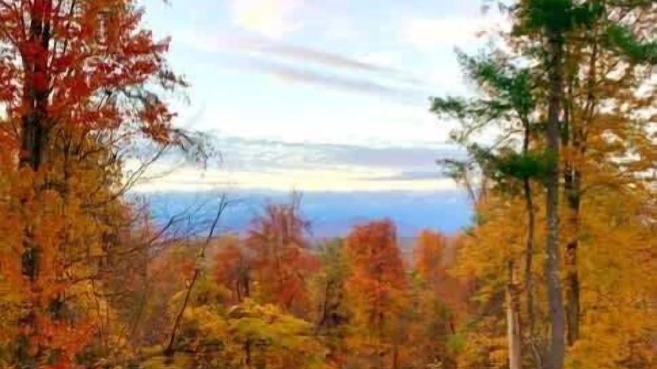 Photo of Others in Kerhonkson