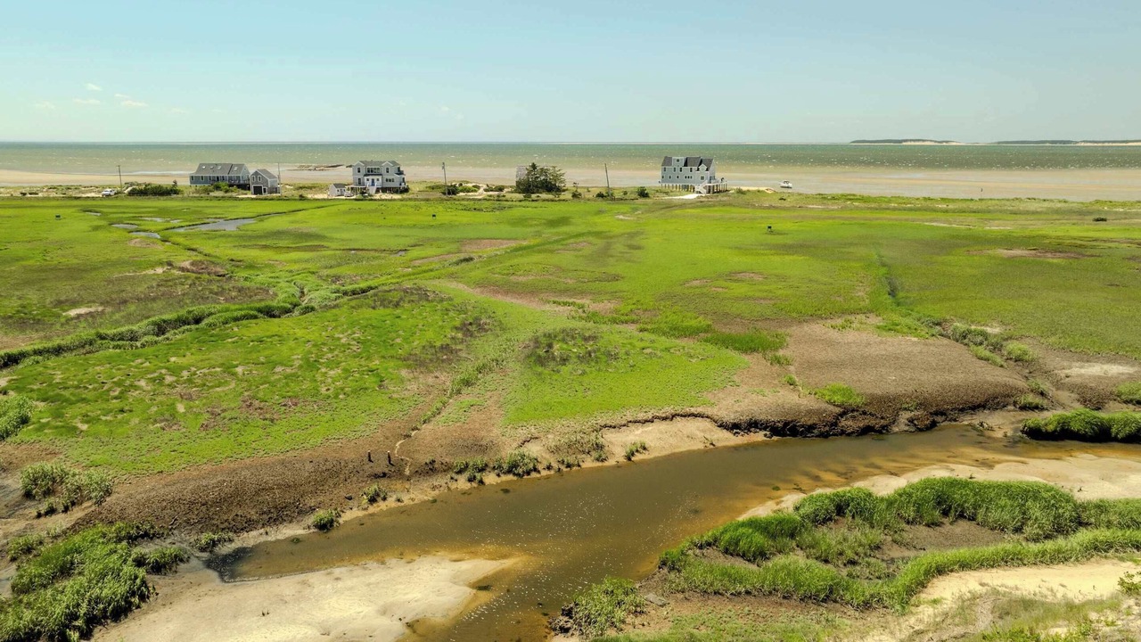 Photo of Others in North Eastham