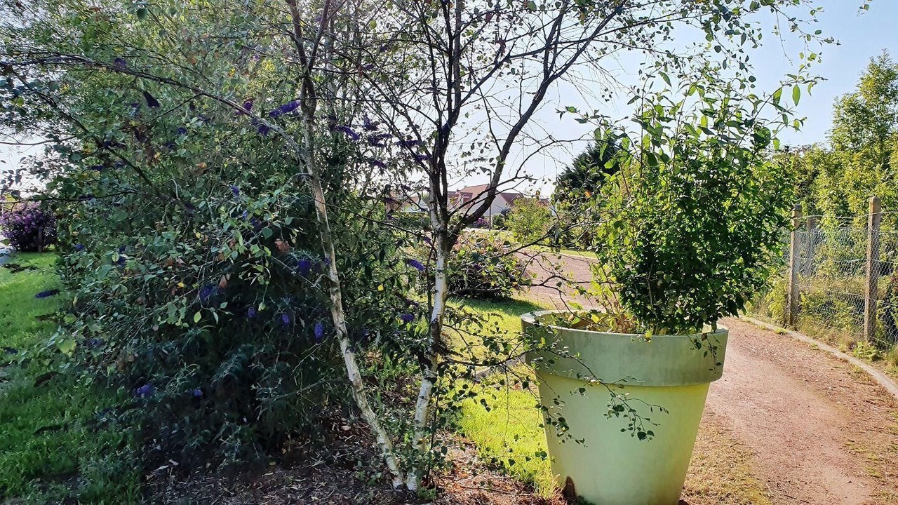 Photo of Outdoor in Saint-Josse