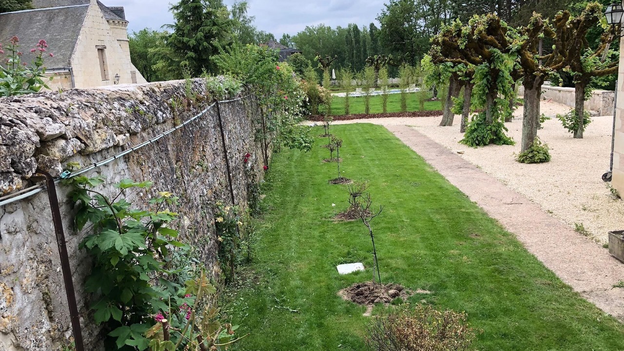Photo of Outdoor in Azay-le-Rideau