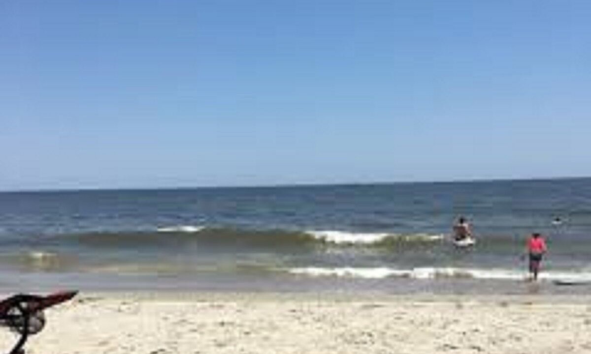 Photo of Others in Tybee Island