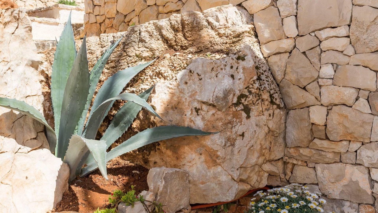 Photo of Outdoor in Bobovisca