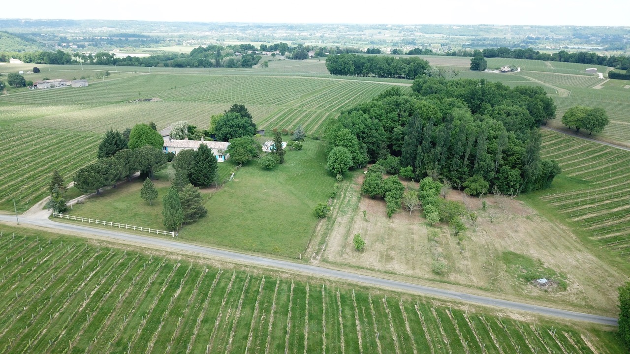 Photo of Outdoor in Saint-Avit-de-Soulege
