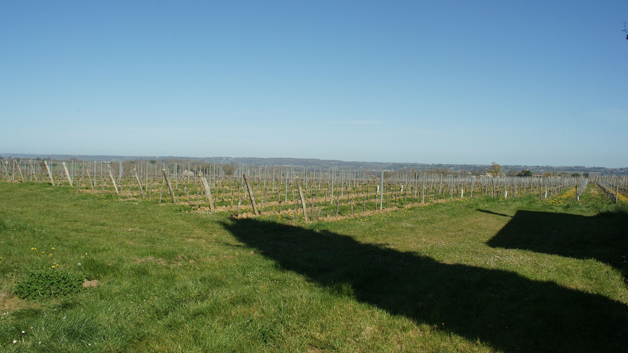 Photo of Outdoor in Saint-Avit-de-Soulege