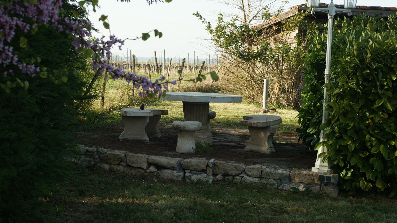 Photo of Outdoor in Saint-Avit-de-Soulege