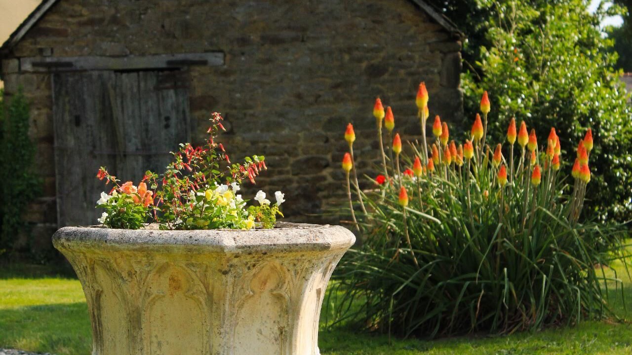 Photo of Outdoor in Sens-de-Bretagne