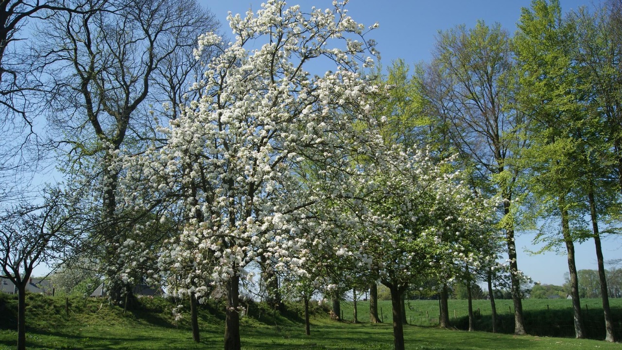 Photo of Others in Bretteville-du-Grand Caux