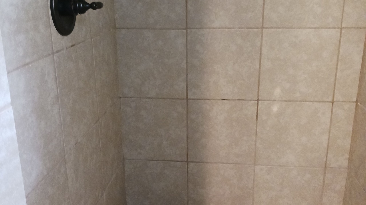 Photo of Others in Guntersville