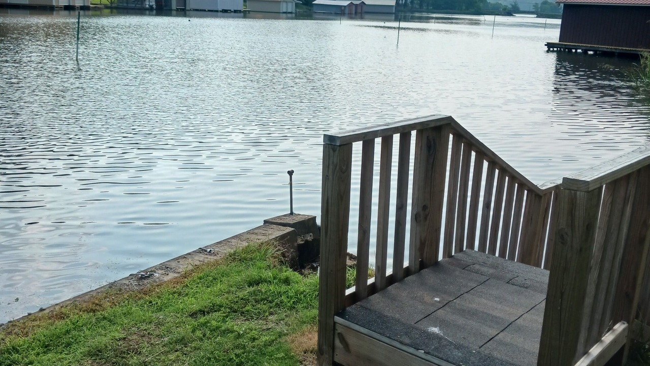 Photo of Others in Guntersville