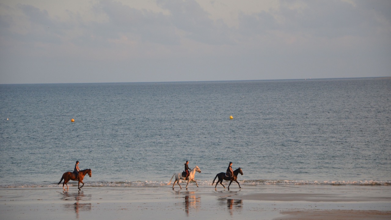 Photo of Others in La Baule-Escoublac