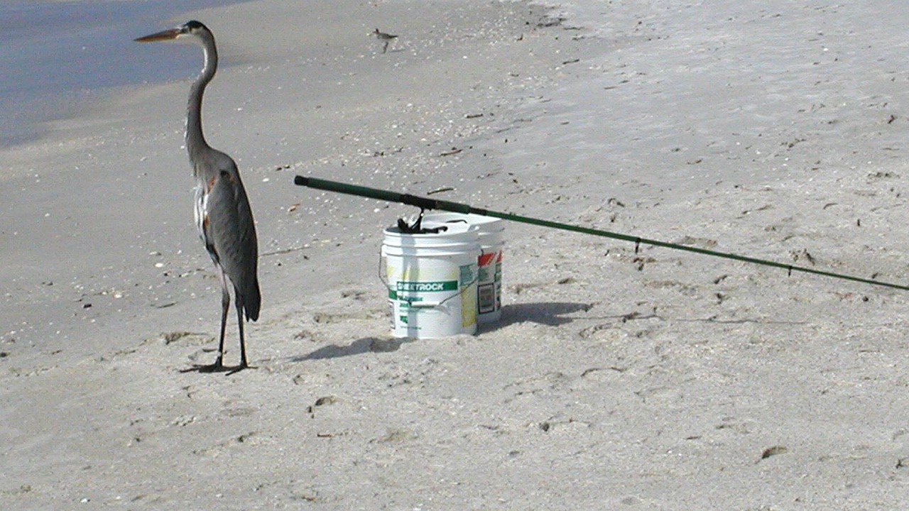 Photo of Others in Sunset Beach