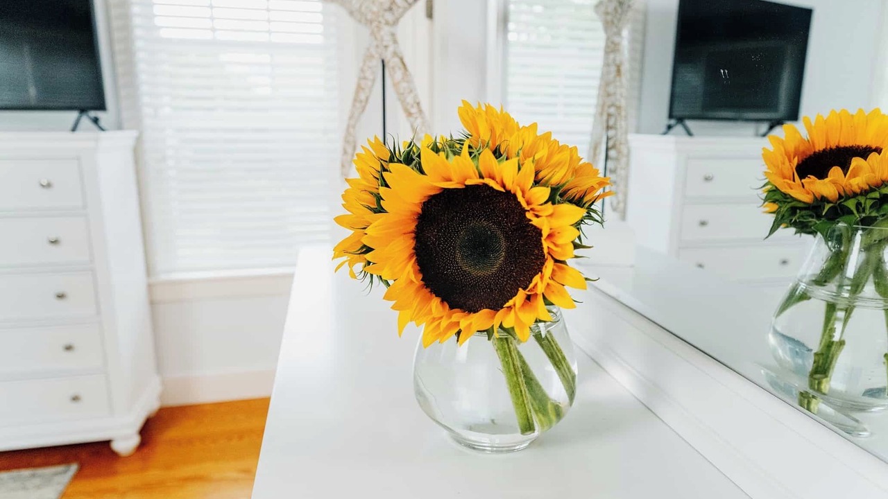 Photo of Others in Naushop