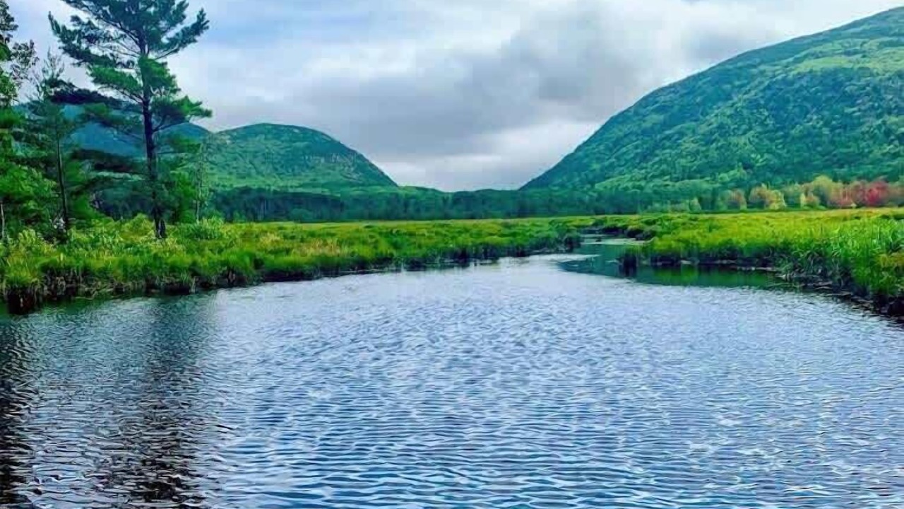 Photo of Others in Mount Desert