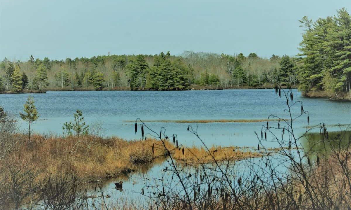 Photo of Others in Mount Desert