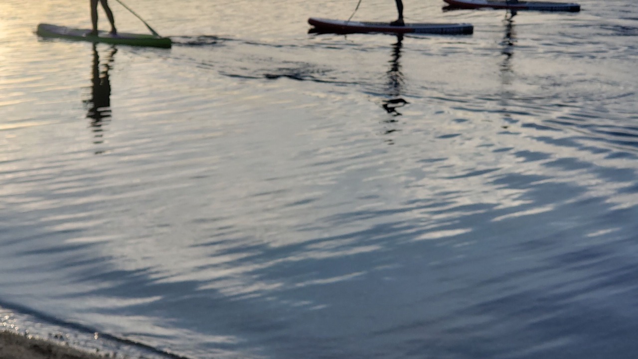 Photo of Others in Leucate