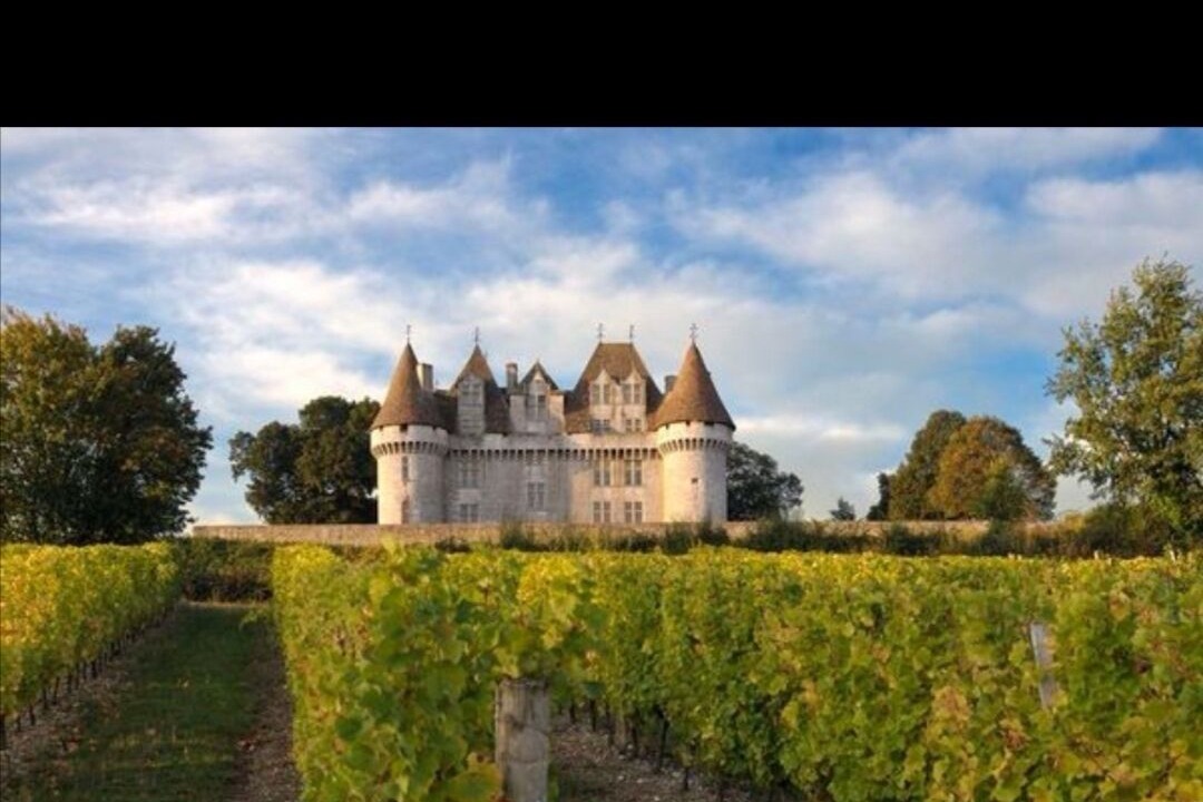 Photo of Others in Saint-Aubin-de-Lanquais