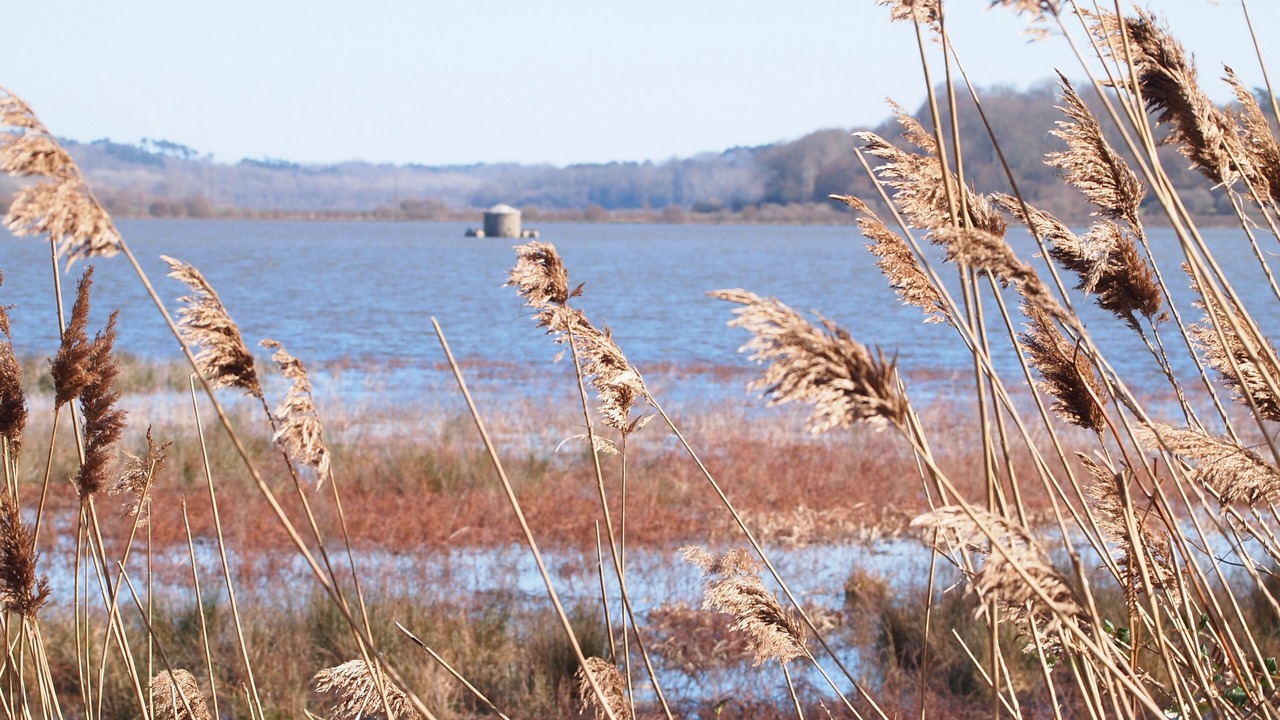 Photo of Others in Vieux-Boucau-les-Bains