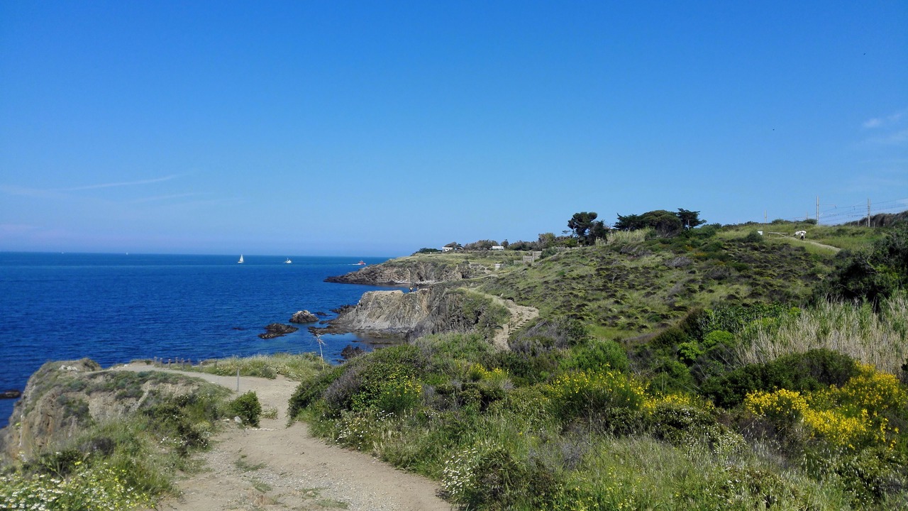 Photo of Others in Saint-Cyprien Plage