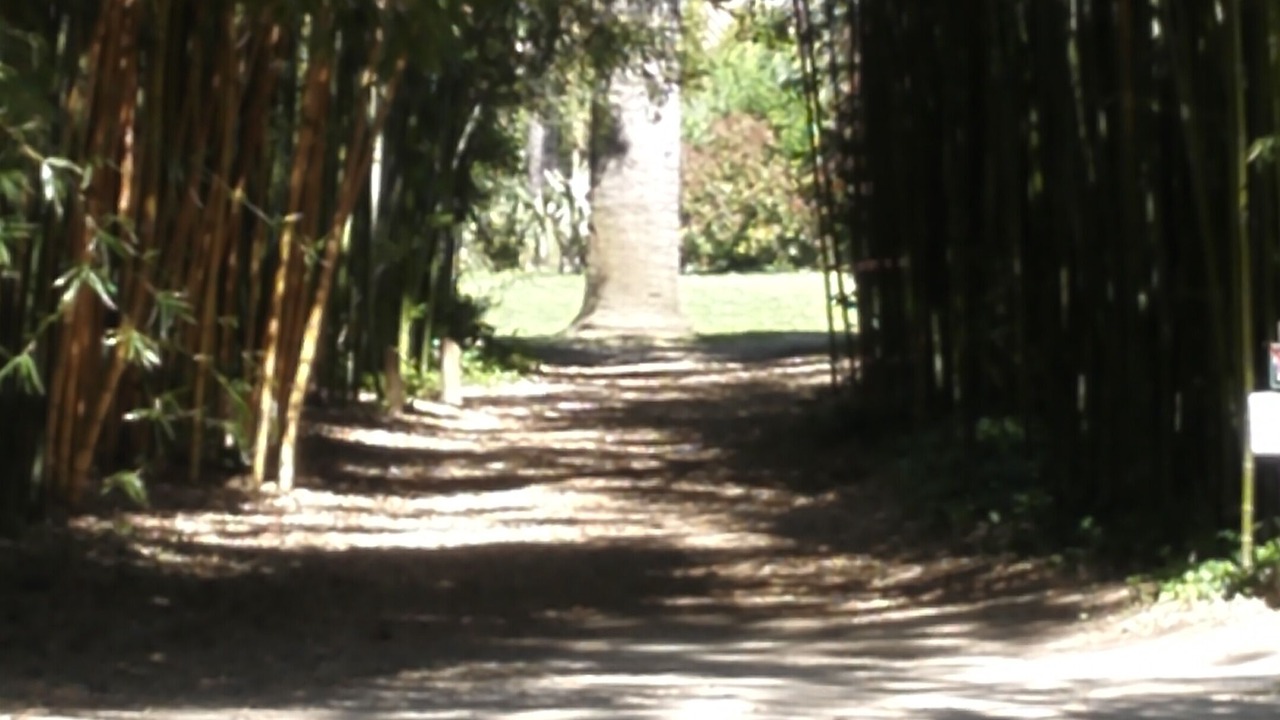 Photo of Outdoor in Saint-Cyprien Plage