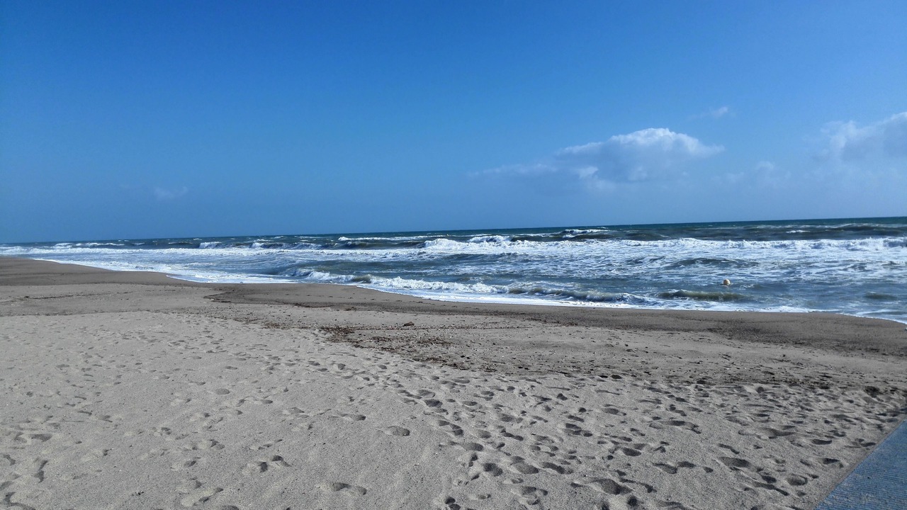 Photo of Others in Saint-Cyprien Plage