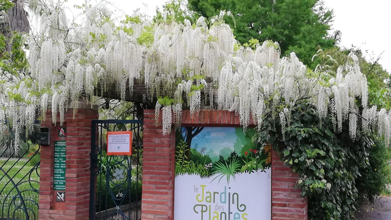 Photo of Outdoor in Saint-Cyprien Plage