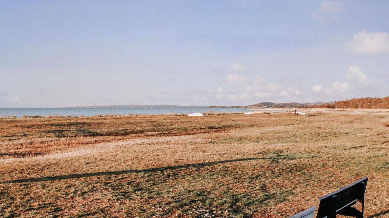 Photo of Others in Lyngsbæk Strand