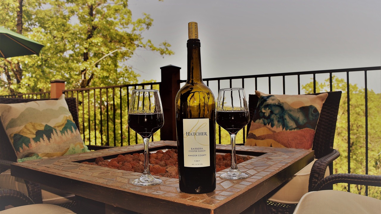 Photo of Outdoor in Forest Meadows