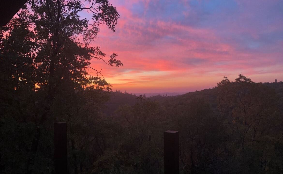 Photo of Others in Forest Meadows