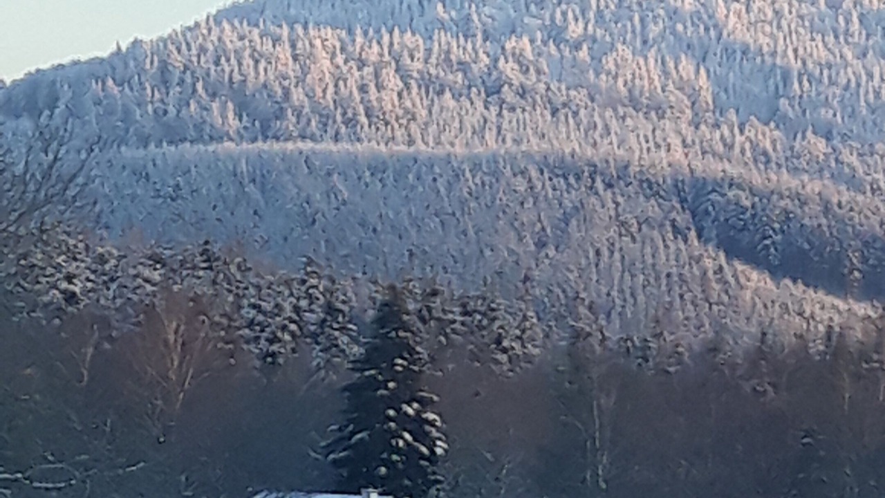 Photo of Others in Poule-les-Echarmeaux